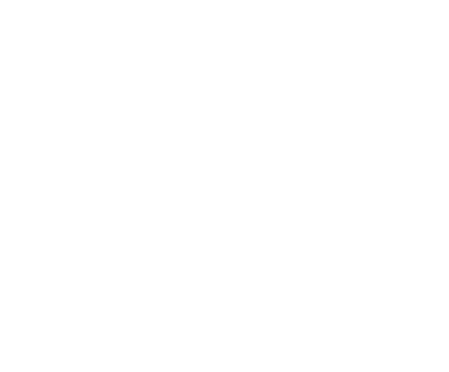 +20 años de experiencia