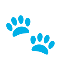 Mascotas